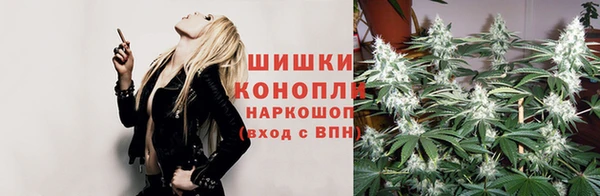 шишки Армянск