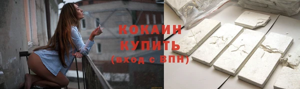 шишки Армянск