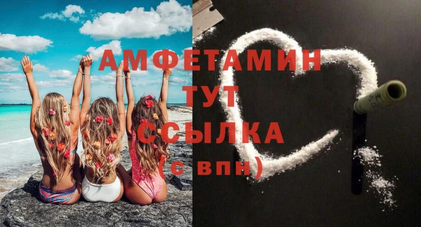 шишки Армянск