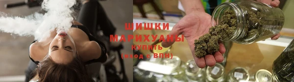 шишки Армянск